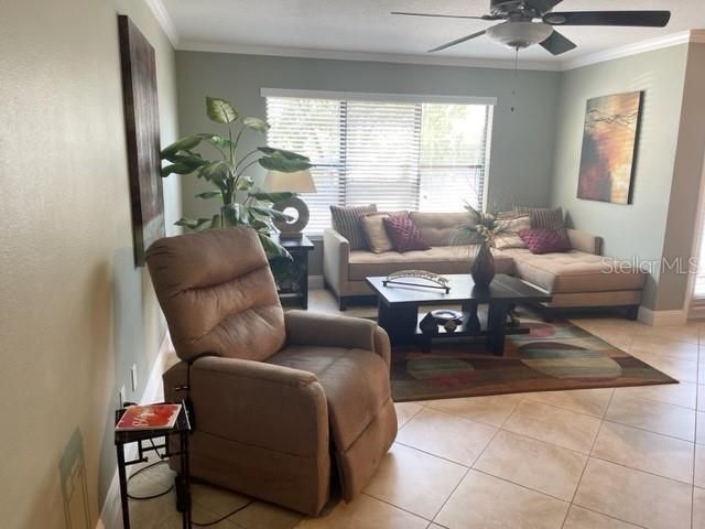 3548 TOBAGO LANE 104, Tampa, FL 33614