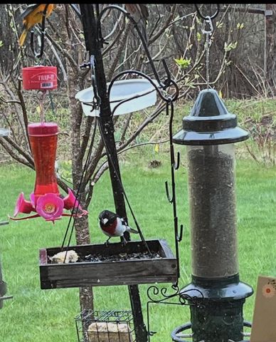 N1829 MEDINA DRIVE, Greenville, WI 54942