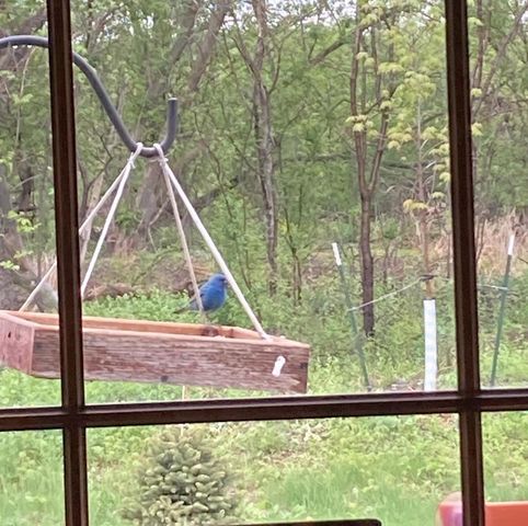 N1829 MEDINA DRIVE, Greenville, WI 54942