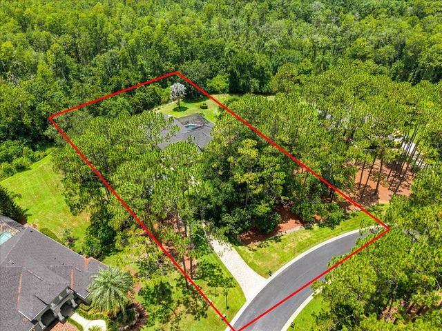 418 PINE BLUFF DRIVE, Lutz, FL 33549
