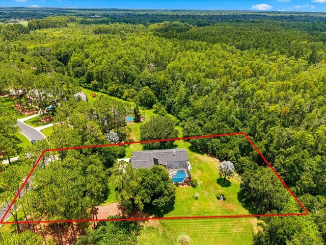 418 PINE BLUFF DRIVE, Lutz, FL 33549
