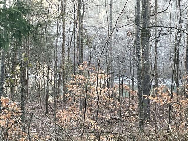 0 Pates Ford Rd, Walling, TN 38587