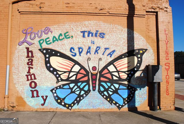 9822 Jones Street, Sparta, GA 31087