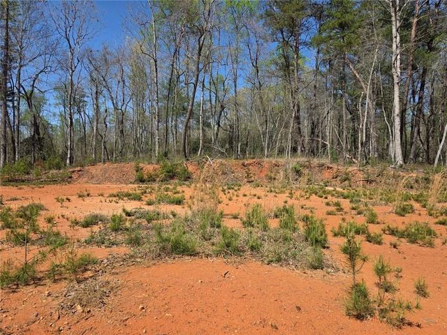0 THURMOND ROAD 8.64 ACRES Road, Cleveland, GA 30528