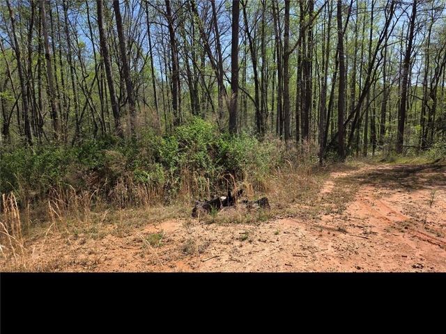 0 THURMOND ROAD 8.64 ACRES Road, Cleveland, GA 30528