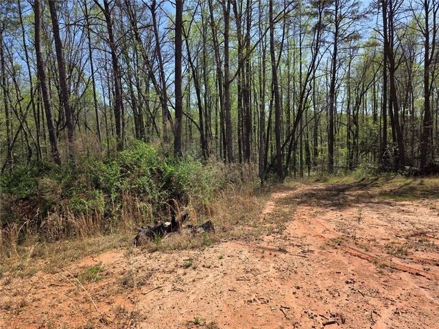 0 THURMOND ROAD 8.64 ACRES Road, Cleveland, GA 30528