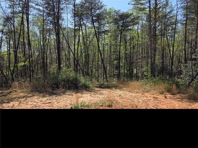 0 THURMOND ROAD 8.64 ACRES Road, Cleveland, GA 30528
