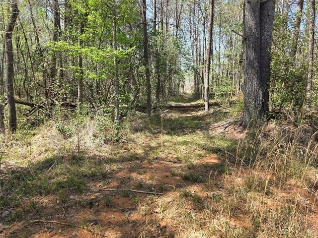 0 THURMOND ROAD 8.64 ACRES Road, Cleveland, GA 30528