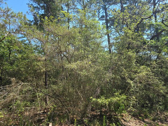 9102 Blue Lake Drive, Plantersville, TX 77363