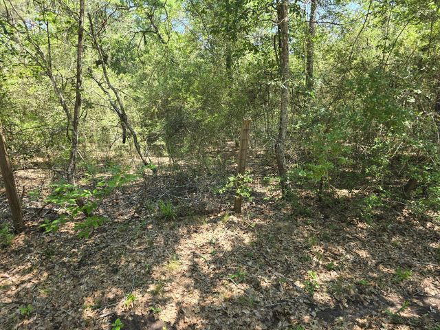 9102 Blue Lake Drive, Plantersville, TX 77363