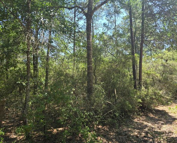 9102 Blue Lake Drive, Plantersville, TX 77363