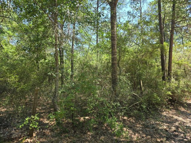 9102 Blue Lake Drive, Plantersville, TX 77363
