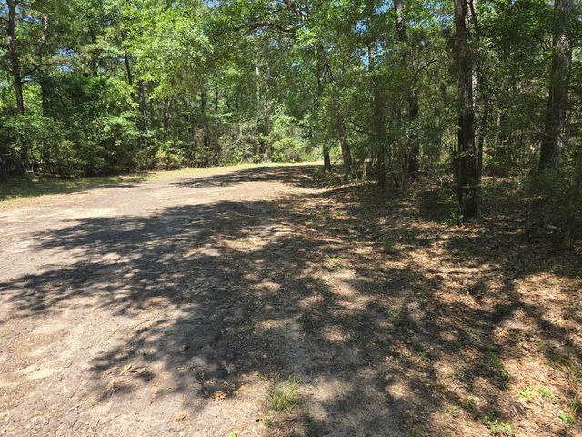 9102 Blue Lake Drive, Plantersville, TX 77363