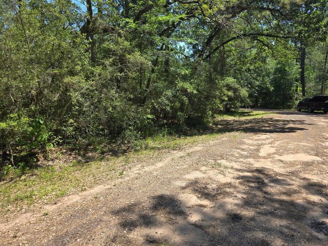 9102 Blue Lake Drive, Plantersville, TX 77363