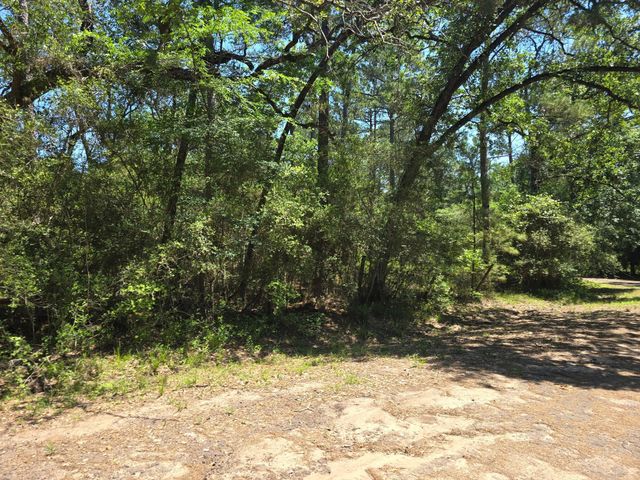 9102 Blue Lake Drive, Plantersville, TX 77363