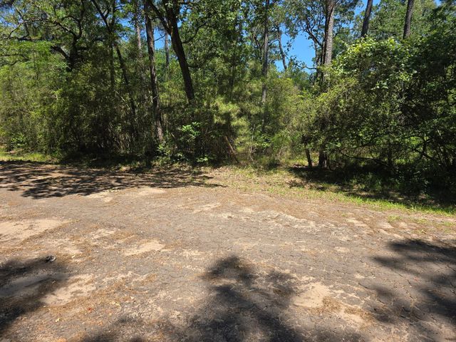 9102 Blue Lake Drive, Plantersville, TX 77363