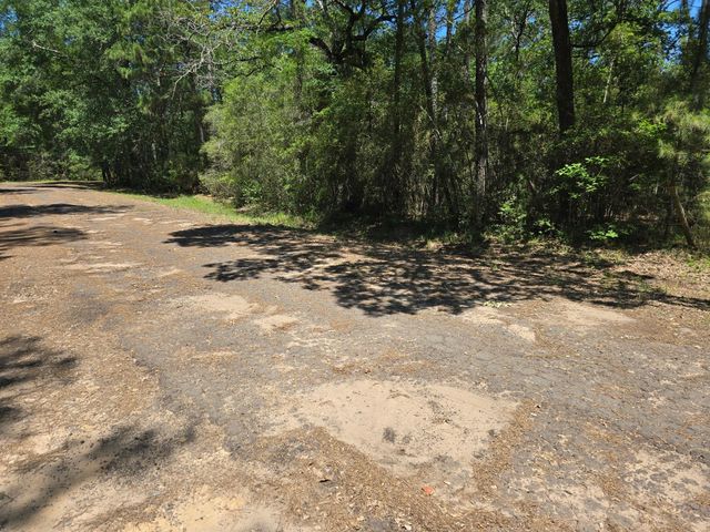 9102 Blue Lake Drive, Plantersville, TX 77363
