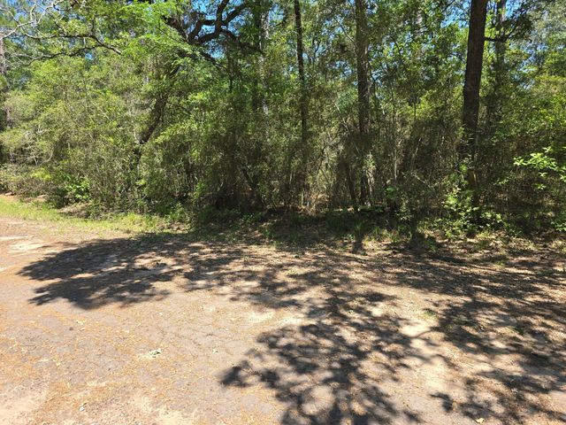 9102 Blue Lake Drive, Plantersville, TX 77363
