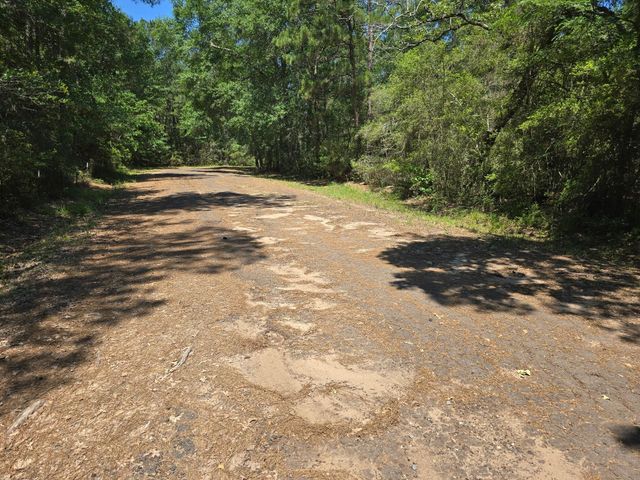 9102 Blue Lake Drive, Plantersville, TX 77363