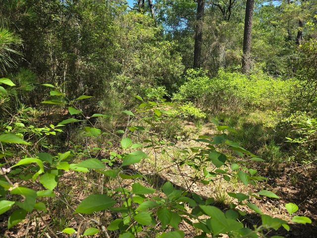 9102 Blue Lake Drive, Plantersville, TX 77363