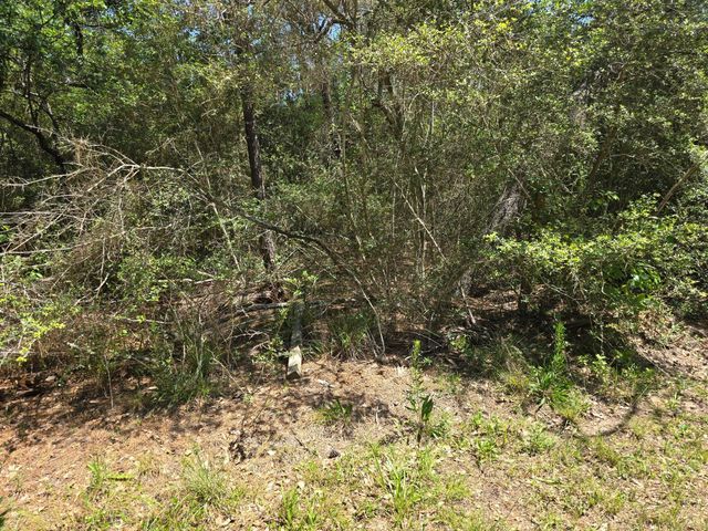 9102 Blue Lake Drive, Plantersville, TX 77363