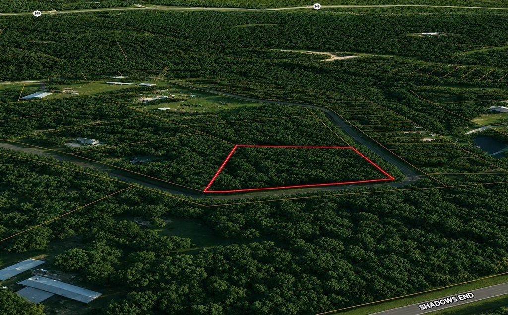 9102 Blue Lake Drive, Plantersville, TX 77363