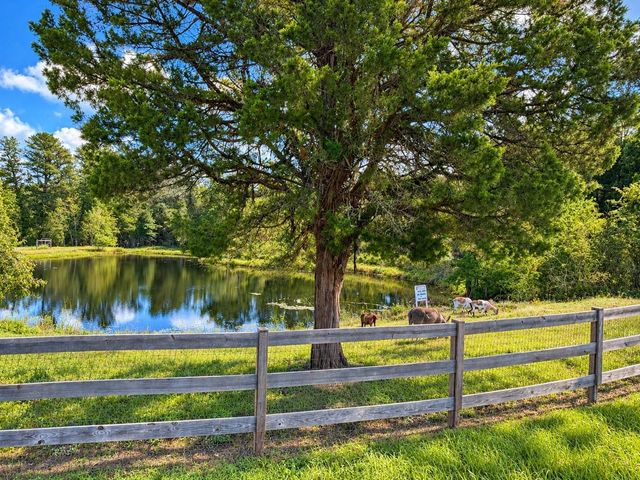 211 Cedar Crest Street, Coldspring, TX 77331