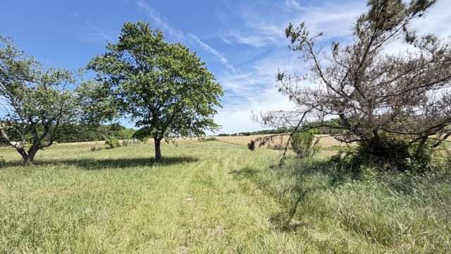 5901 Payne Rd, Portland, TN 37148