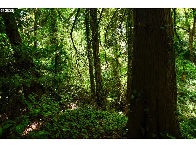 Sw CONDOR Ave 5900, Portland, OR 97239