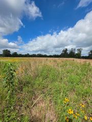TBD LOT 14 County Road 201, Plantersville, TX 77363