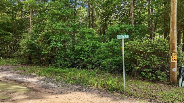 164 Road 2699, Cleveland, TX 77327