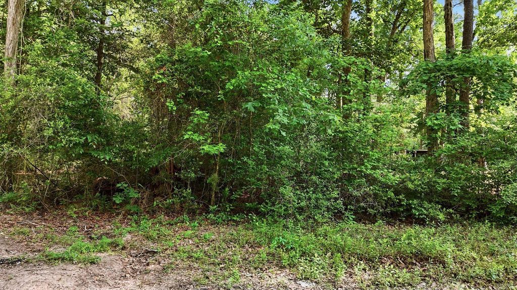 164 Road 2699, Cleveland, TX 77327