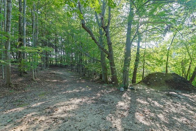 14910 Boyle Lake Road, Weesaw Twp, MI 49107