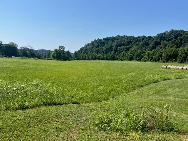 437 Little Renox Road, Burkesville, KY 42717