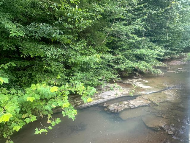 437 Little Renox Road, Burkesville, KY 42717