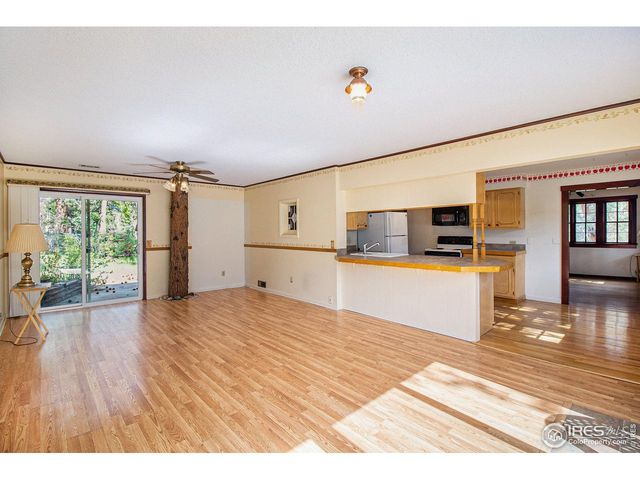 1141 Wallace Ln, Estes Park, CO 80517