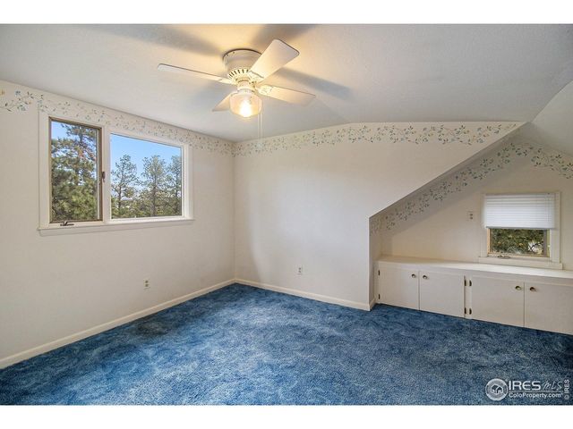 1141 Wallace Ln, Estes Park, CO 80517