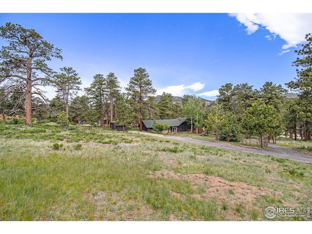 1141 Wallace Ln, Estes Park, CO 80517