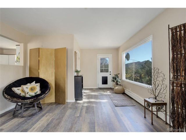 114 Patty Dr, Evergreen, CO 80439