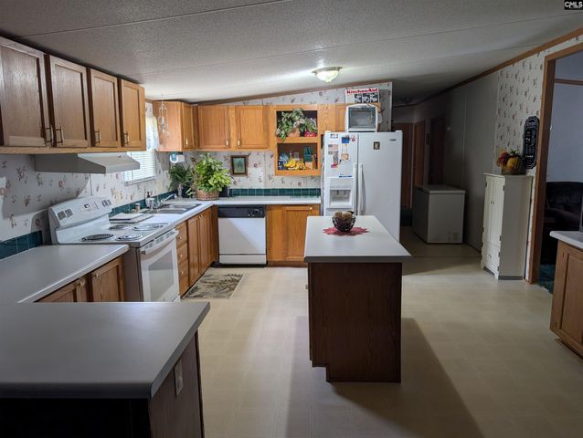 113 Hass Lucas Road, Gaston, SC 29053