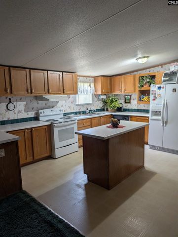 113 Hass Lucas Road, Gaston, SC 29053