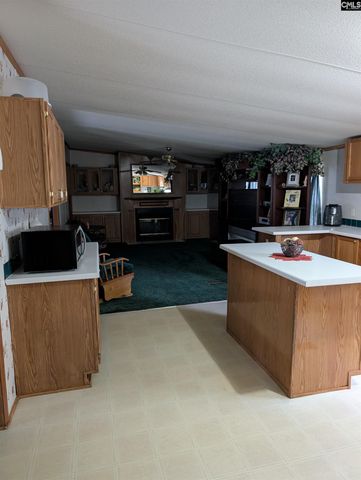 113 Hass Lucas Road, Gaston, SC 29053