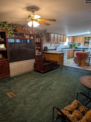 113 Hass Lucas Road, Gaston, SC 29053