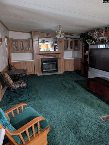 113 Hass Lucas Road, Gaston, SC 29053
