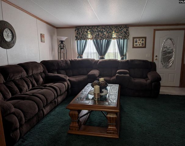113 Hass Lucas Road, Gaston, SC 29053