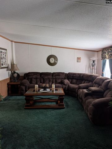 113 Hass Lucas Road, Gaston, SC 29053