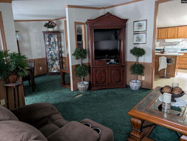 113 Hass Lucas Road, Gaston, SC 29053