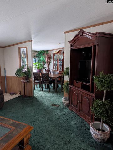 113 Hass Lucas Road, Gaston, SC 29053