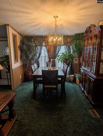 113 Hass Lucas Road, Gaston, SC 29053