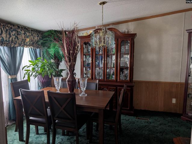 113 Hass Lucas Road, Gaston, SC 29053